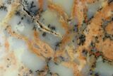 Polished Wanong Dendritic Opal Slab - Australia #132916-1